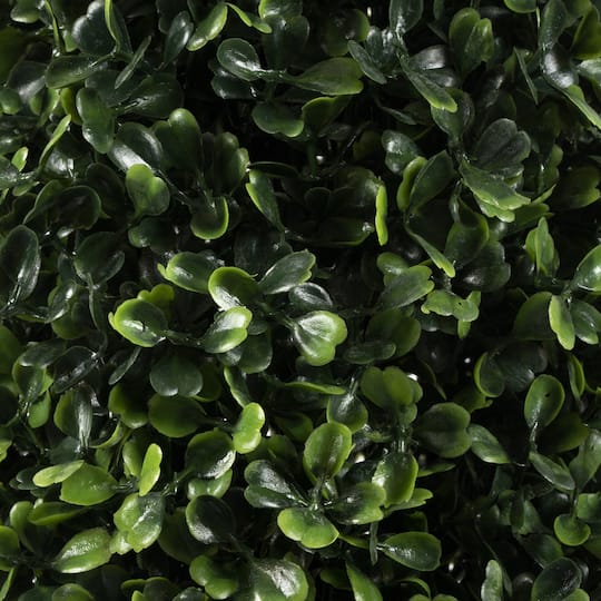 4ft. Potted Boxwood Cone